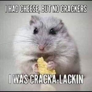 Meet your Posher, Veronica